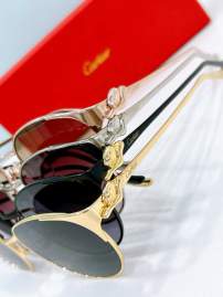 Picture of Cartier Sunglasses _SKUfw79566940fw